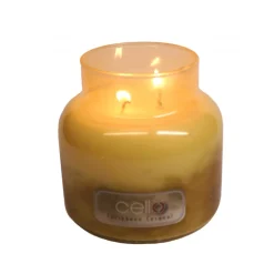 Cello Jar Candle Large - Caribbean Coconut