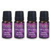 Cello Mixology Fragrance Oil - Pack of 4 - Wildflower Meadow