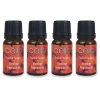 Cello Mixology Fragrance Oil - Pack of 4 - Tropical Paradise