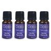Cello Mixology Fragrance Oil - Pack of 4 - French Lavender