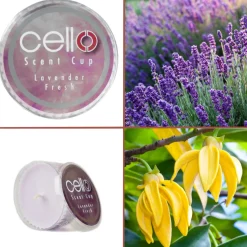 Cello Scent Cup - Lavender Fresh