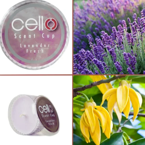 Cello Scent Cup - Lavender Fresh
