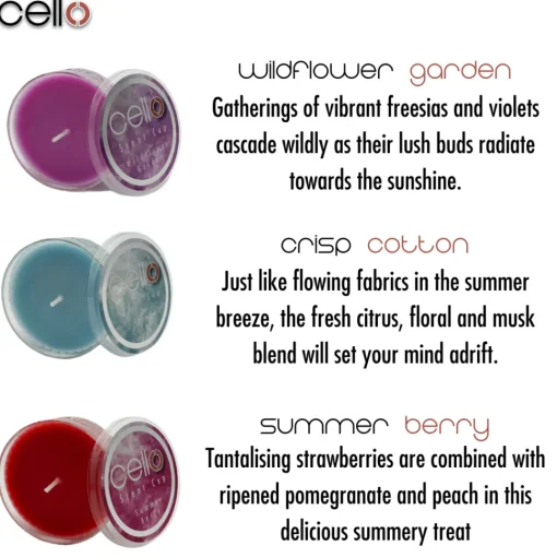 Cello Scent Cup Trio - Love You To The Moon And Back