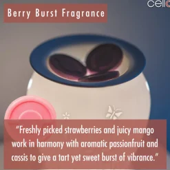 Cello Wax Medallions - Berry Burst