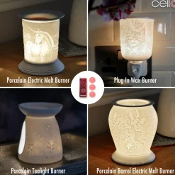 Cello Wax Medallions - Summer Berry