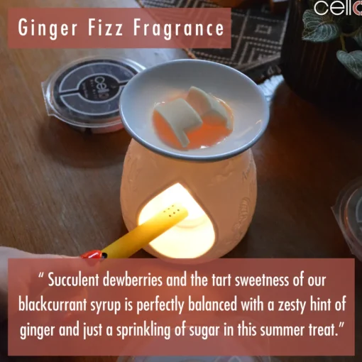 Cello Wax Melt - Ginger Fizz