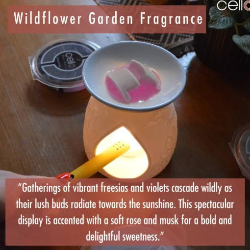 Cello Wax Melt - Wildflower Garden
