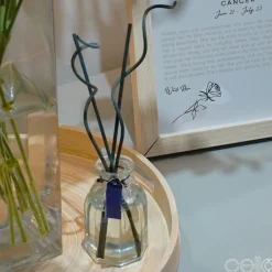 Cello Zodiac Reed Diffuser - Aquarius with Amethyst - Arcane Oceans