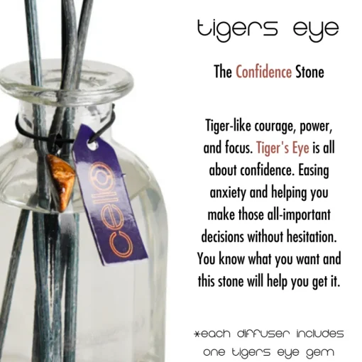 Cello Zodiac Reed Diffuser - Gemini with Tigers Eye - Enigmatic Lands