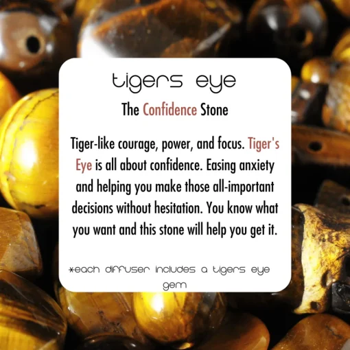Cello Zodiac Reed Diffuser - Gemini with Tigers Eye - Enigmatic Lands