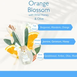 Di Palomo Orange Blossom Fragrant Reed Diffuser 100ml