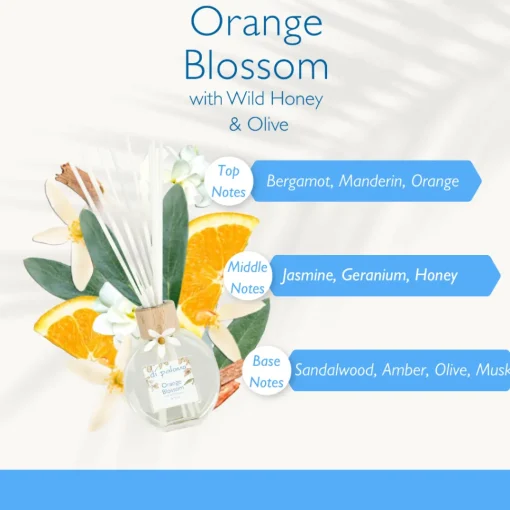 Di Palomo Orange Blossom Fragrant Reed Diffuser 100ml