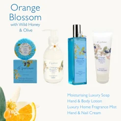 Di Palomo Orange Blossom Fragrant Reed Diffuser 100ml