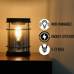 Edison Lamp Spare Bulbs 40W