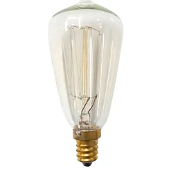 Edison Lamp Spare Bulbs 40W