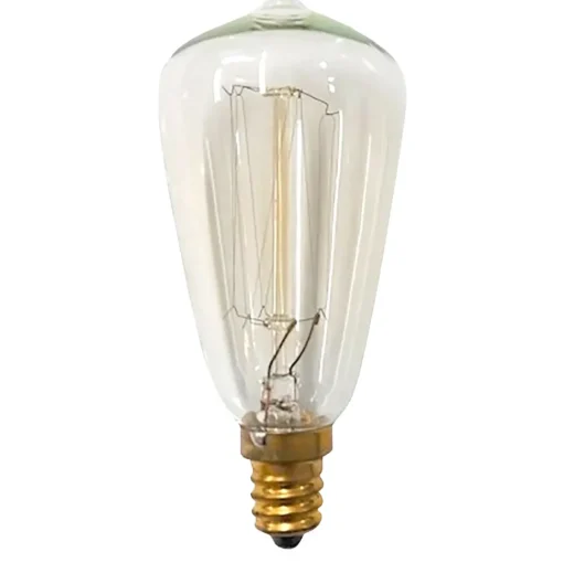 Edison Lamp Spare Bulbs 40W
