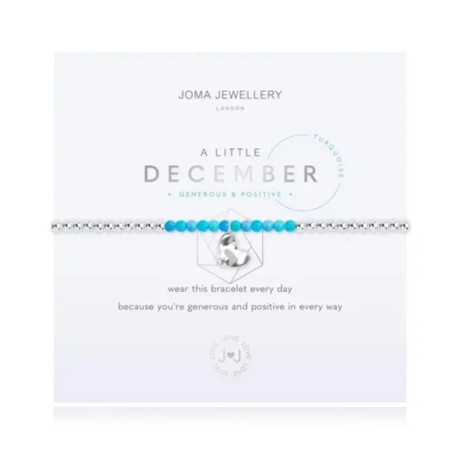 Joma Jewellery Bracelet - A Little Birthstone December