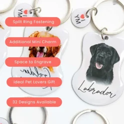 Splosh Pet Keyring - Black Labrador