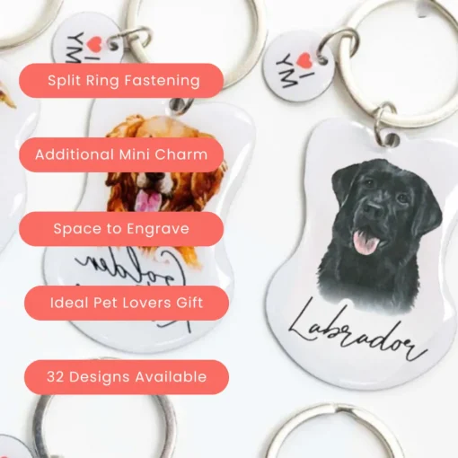 Splosh Pet Keyring - Black Labrador