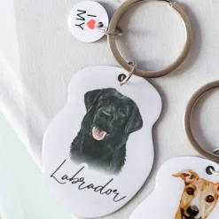 Splosh Pet Keyring - Black Labrador