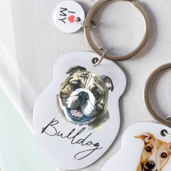 Splosh Pet Keyring - Bulldog