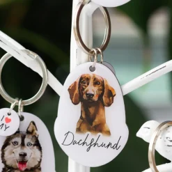 Splosh Pet Keyring - Dachshund