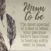 Splosh Spirit 2 Verse - Mum to Be