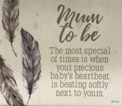 Splosh Spirit 2 Verse - Mum to Be