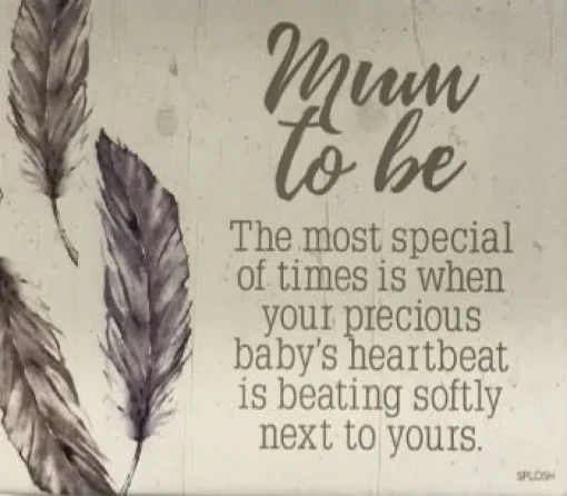 Splosh Spirit 2 Verse - Mum to Be